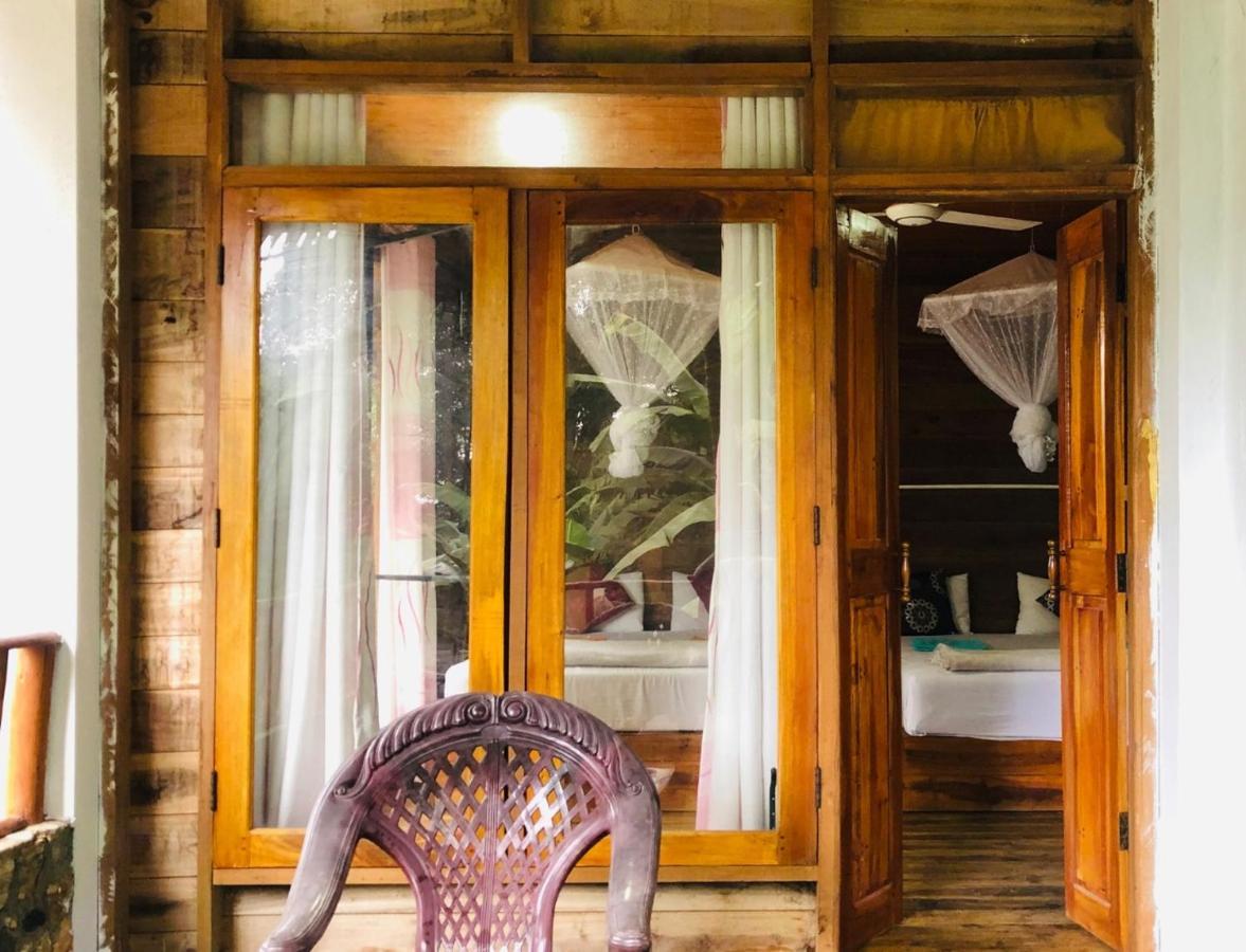 Ella nature nest Extérieur photo